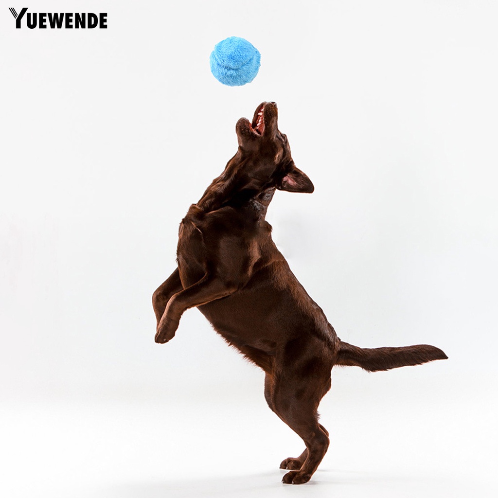 1 Bộ Bóng Lông Mềm YQ.E Chống Cắn Có Thể Sạc Lại Và Âm Thanh Dành Cho Thú Cưng