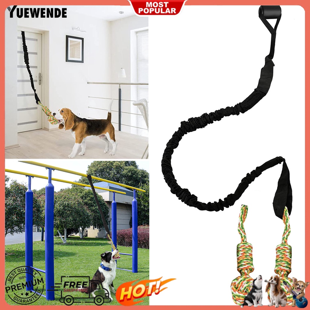 Yq.e Đồ Chơi Dây Thừng Co Giãn Tốt Giảm Căng Thẳng Làm Sạch Răng Chống Rách Cỡ Nhỏ Vừa Lớn Cho Cún Cưng Trong Nhà / Ngoài Trời