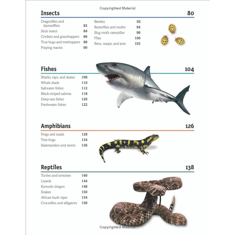 Sách The Animal Book