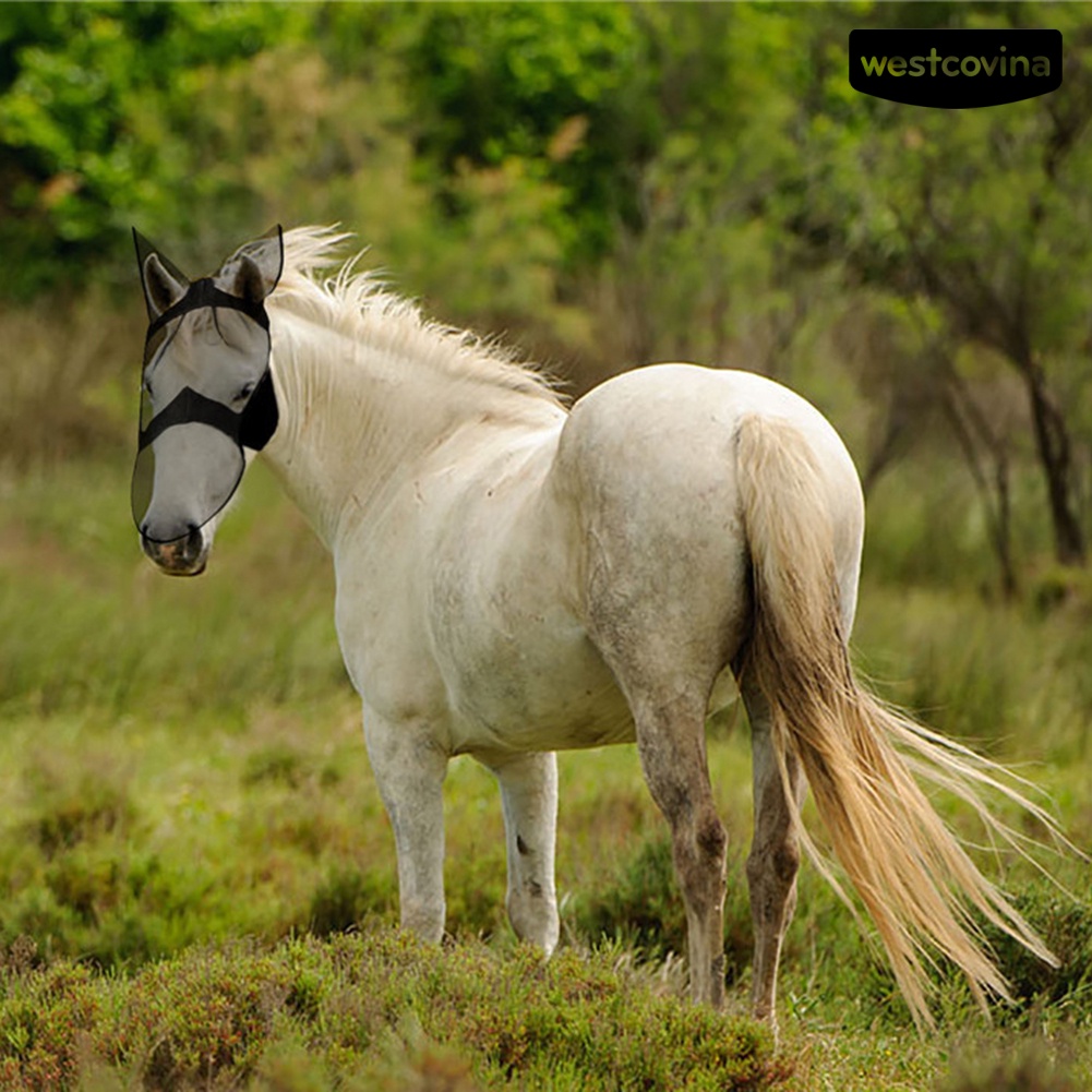 [COD]♞Khẩu Trang Chống Muỗi Thoáng Khí Che Phủ Tai Tiện Dụng