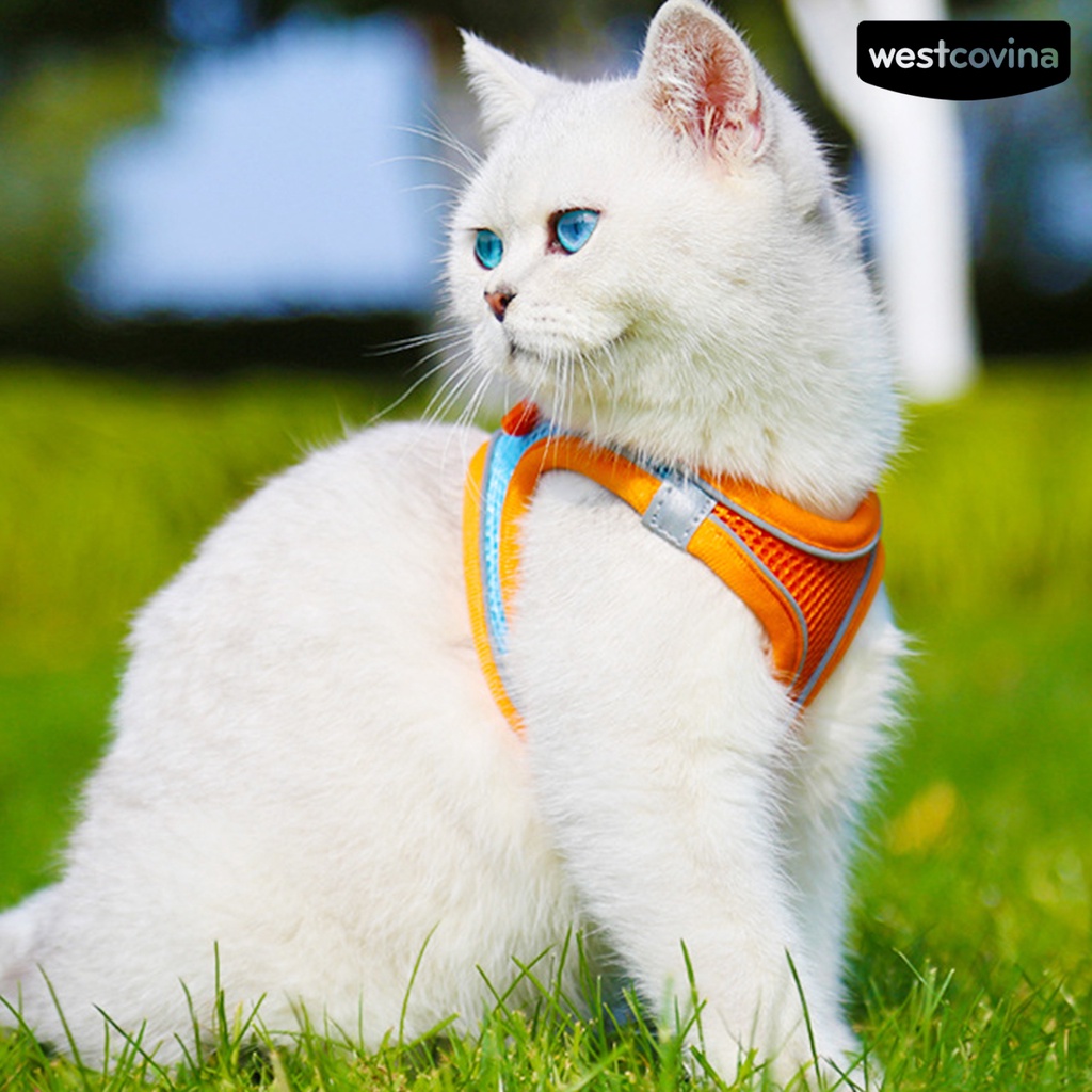 [COD]♞Dây Dắt Thú Cưng Đi Dạo Bằng Nilon Phản Quang Thoáng Khí Tiện Dụng