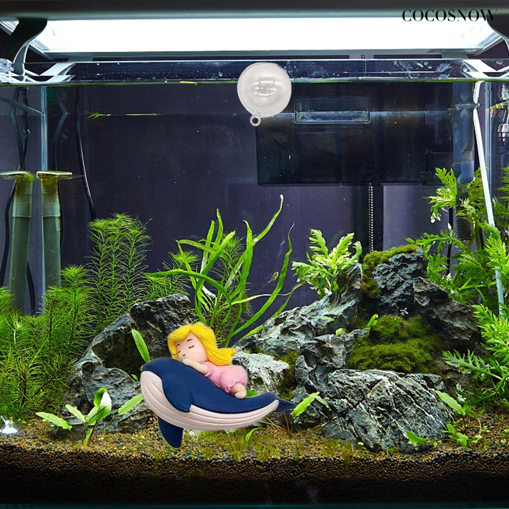 Cá Voi Trang Trí Bể Cá