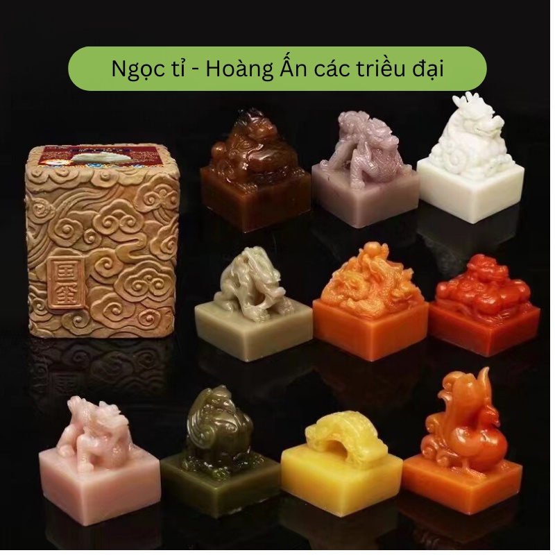 Bộ Khảo Cổ Học, Đào Bảo Vật Ngẫu Nhiên, Đào Được Đá Quý, Cổ Vật, Ngọc Trai, Khủng Long Bọc Thạch Cao