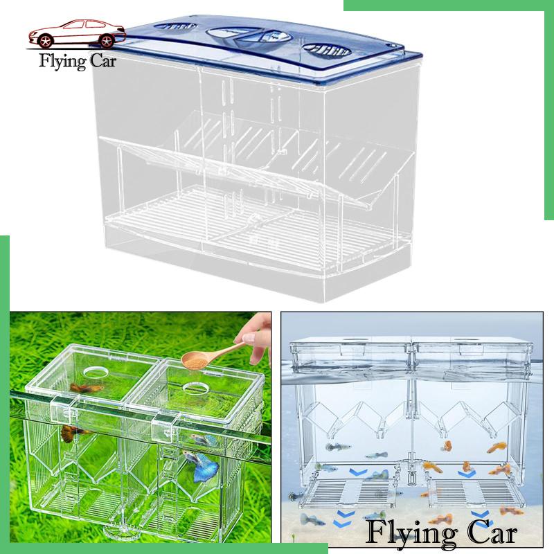 Hộp Nuôi Cá Dễ Sử Dụng Cho Văn Phòng Guppy Betta