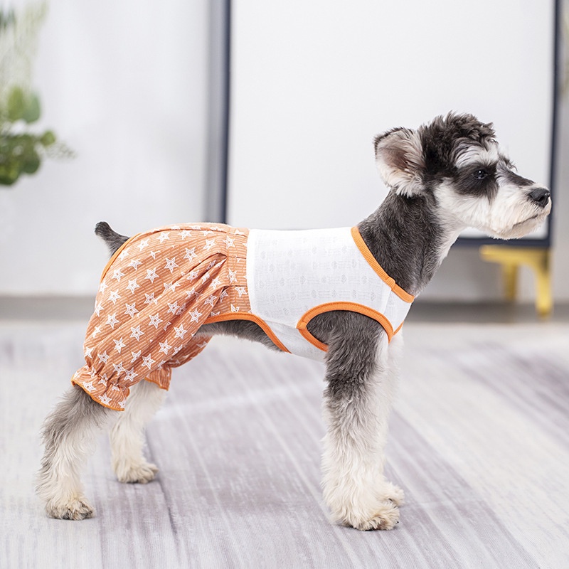 Quần Cotton Mỏng Bốn Chân Dáng Phồng Dành Cho Thú Cưng 27 Món