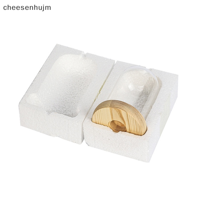 Đế Vòm Thủy Tinh Có Đèn LED Dùng Trang Trí Phòng Ngủ DIY