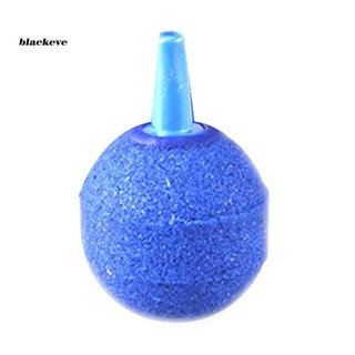 1 Đá Sủi Bọt Khí Oxy Cho Bể Cá Cảnh