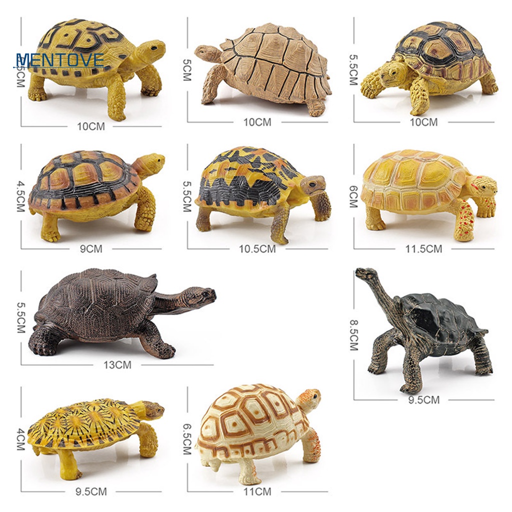 Mô Hình Rùa Biển 3D Sống Động Cho Bé