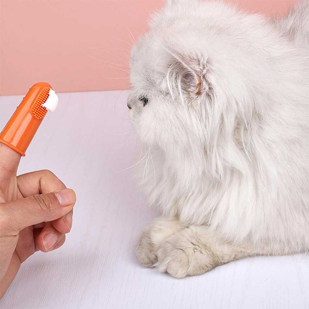 Pet Toothpaste And Toothbrush Puppy Tooth Brushing Kit Small Dog Finger Brush
