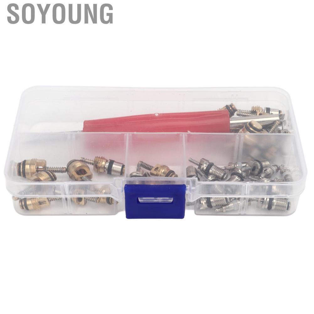 Soyoung AC Valve Core Repair Set  Multipurpose Refrigeration Tire Stem Lightweight Aluminium Copper 41Pcs Portable with Remover for Car Home