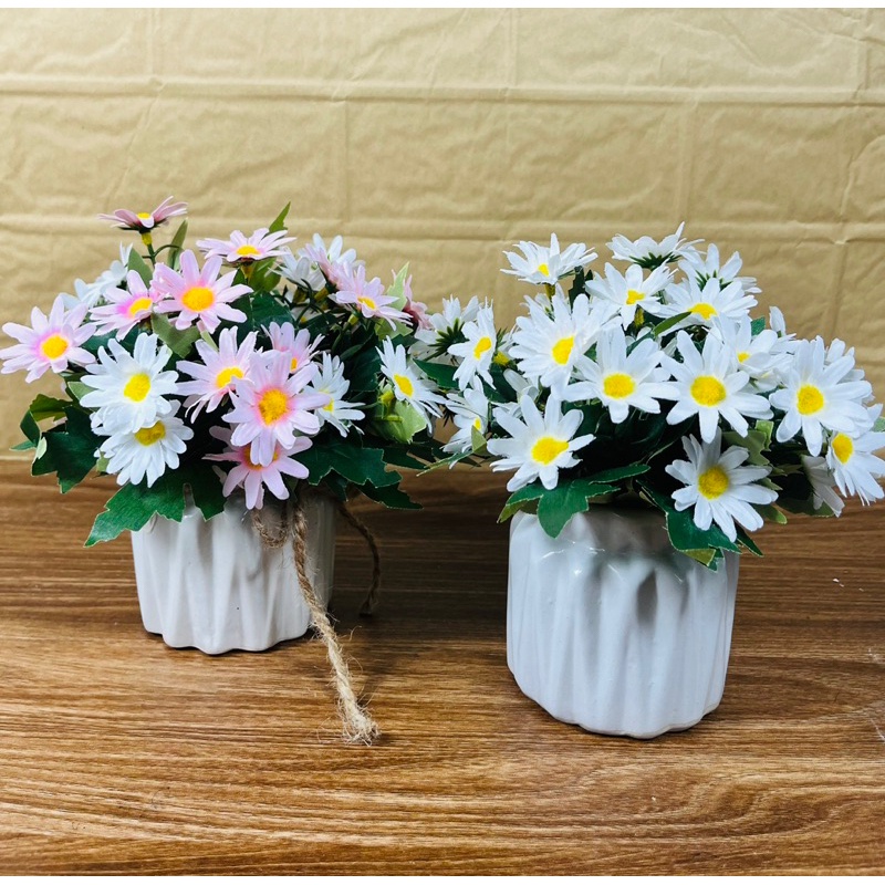 Chậu cây giả-cúc hoạ mi để bàn siêu xinh