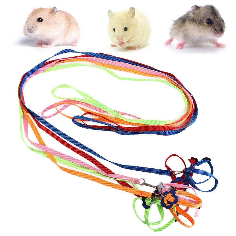 [COD] Dây Dắt Thú Cưng Đi Dạo Mềm Mại Tiện Dụng