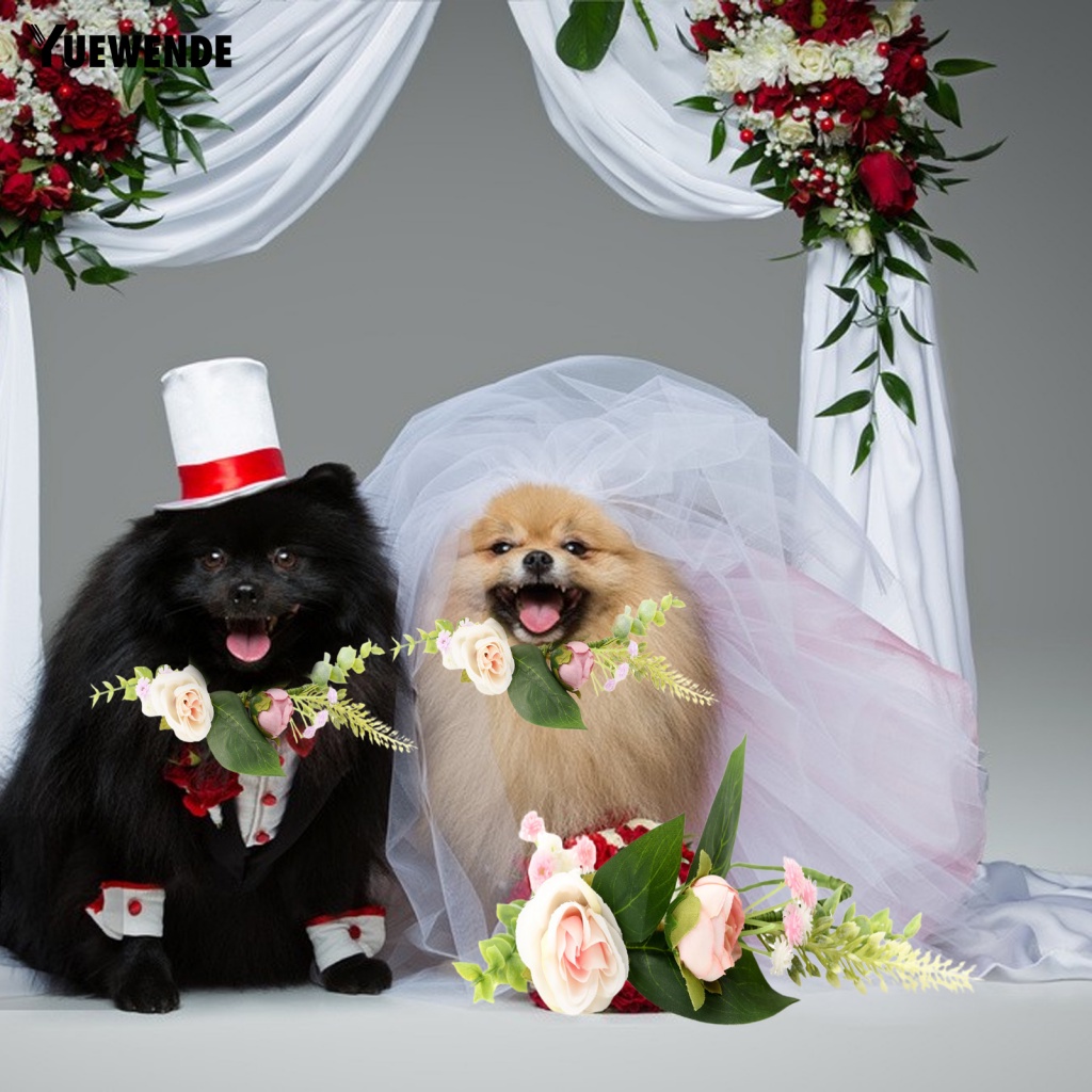 Vòng Đeo Cổ Bằng Nhựa Chống Mòn Dành Cho Thú Cưng