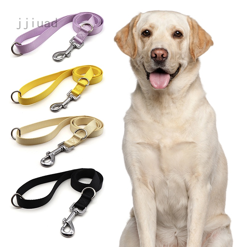 Dây Dắt Thú Cưng Đi Dạo Màu Sắc Macaron Xinh Xắn