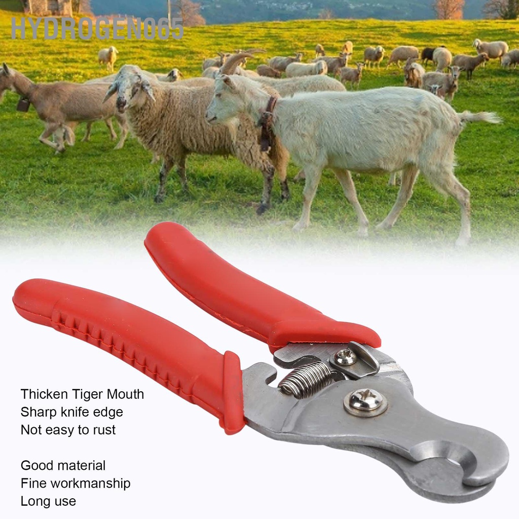 Hydrogen065 Dụng cụ gỡ thẻ tai bấm động vật bằng thép không gỉ cho Lợn Gia súc Cừu