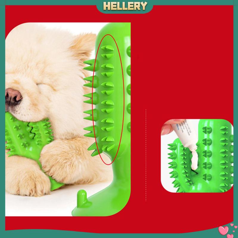 Đồ Chơi Cho Thú Cưng Gặm Giúp Tương Tác Cao Cấp