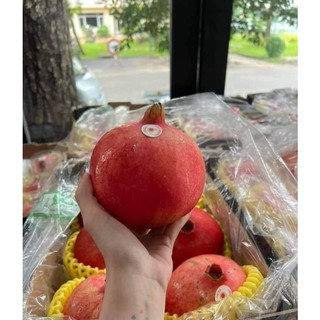 Cây Giống Lựu PeRu ( chuẩn giống) (được kiểm tra hàng có bảo hành)