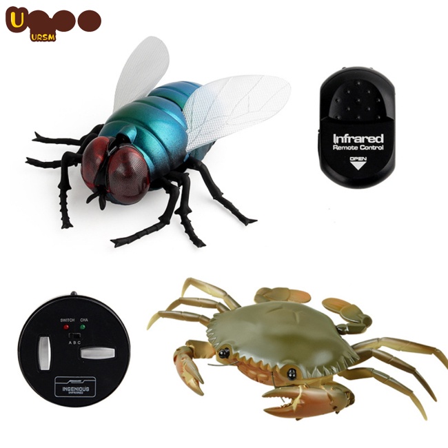 Đồ Chơi Côn Trùng Điện Tử Điều Khiển Từ Xa Hồng Ngoại Hình Halloween Cho Bé