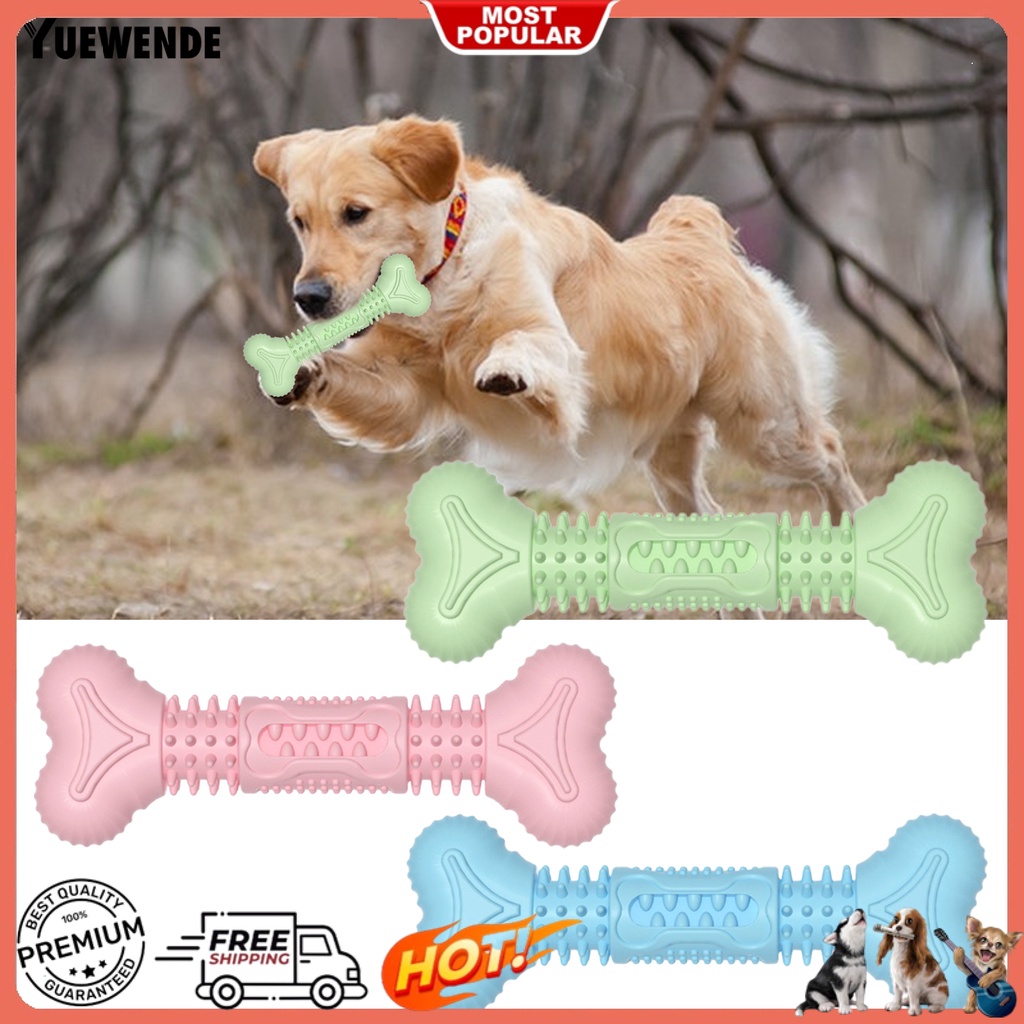 Đồ Chơi Huấn Luyện Cún Cưng Hình Khúc Xương Hoạt Hình Sáng Tạo Chống Mòn Chống Trầy Xước