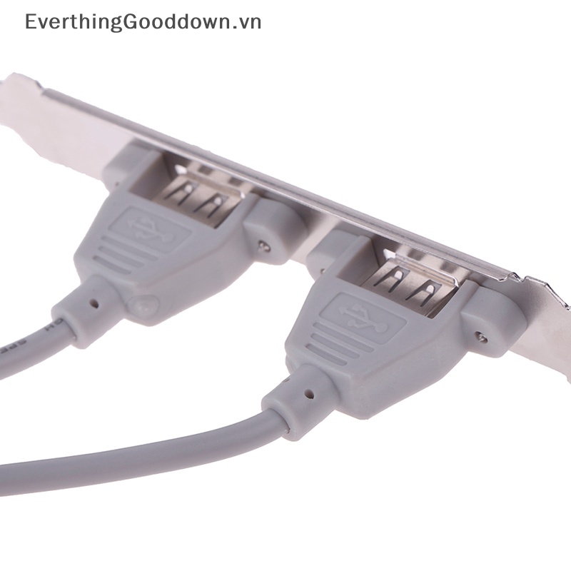 Everthingooddown 1 Bảng Mạch Mở Rộng Cổng USB 2.0 2 Cổng