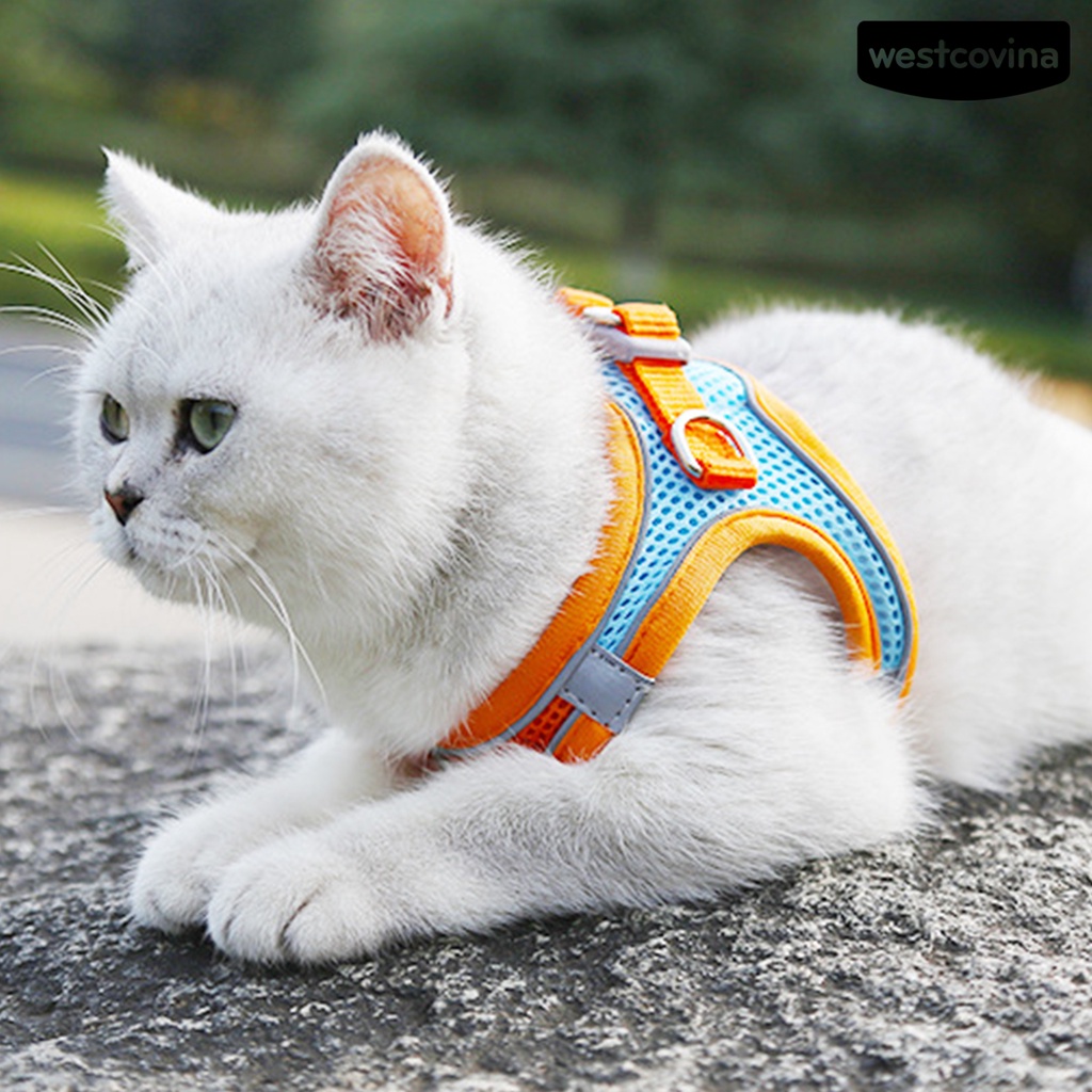 [COD]♞Dây Dắt Thú Cưng Đi Dạo Bằng Nilon Phản Quang Thoáng Khí Tiện Dụng