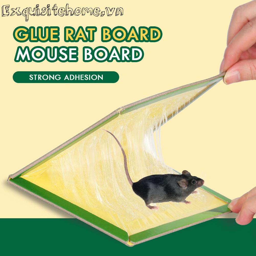 Dụng Cụ Bẫy Chuột Tiện Lợi Cho Gia Đình