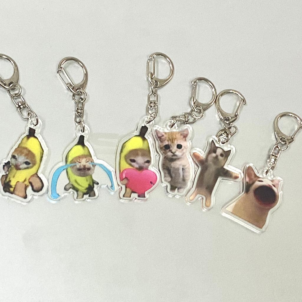 Móc Khóa Acrylic Hình Chú Mèo Đang Khóc Vui Nhộn Cho Bé