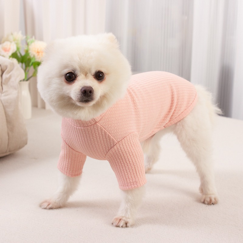 Áo Thun MàU SắC Đơn GiảN Cho Thú Cưng