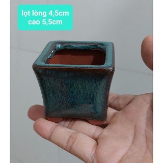 Chậu trồng cây sen đá, xương rồng, cây mini