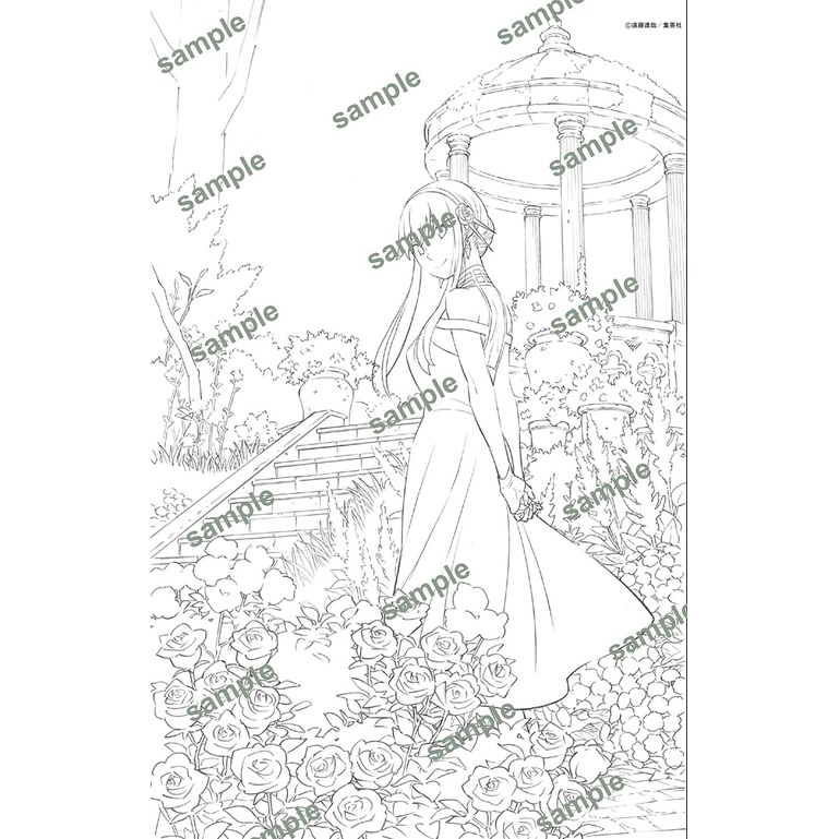 Spy x Family Operation Coloring