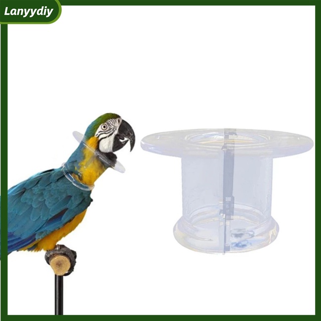 Vòng Đeo Cổ Lông Vũ Trong Suốt Chống Cắn Bảo Vệ Cho Chim Vẹt / Chuột Hamster