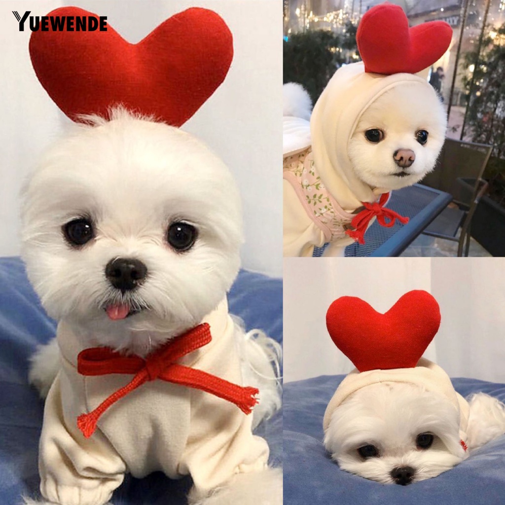 Áo Hoodie Có Dây Rút Hình Củ Cà Rốt / Chuối Giữ Ấm Mùa Thu Đông Cho Cún Cưng