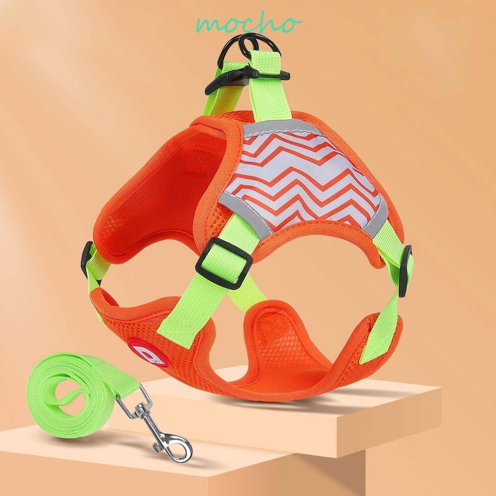 Dây Dắt Thú Cưng Đi Dạo Chống Thất Lạc Màu Phản Quang Tùy Chỉnh Tiện Dụng