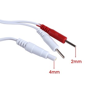10 / 20 Dây Dẫn Điện Cực 2.5mm