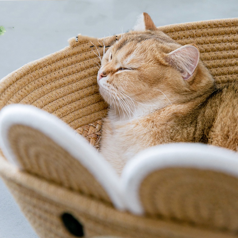 Ổ nằm cho mèo cói mây đan tay Handmade kèm thảm màu gấu nâu cực sịn tích hợp cào móng