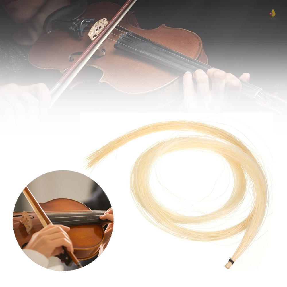 Cung Vĩ Cầm Chuyên Nghiệp Bằng Lông Ngựa Phù Hợp Cho Đàn Viola Cello Và Bass Bows