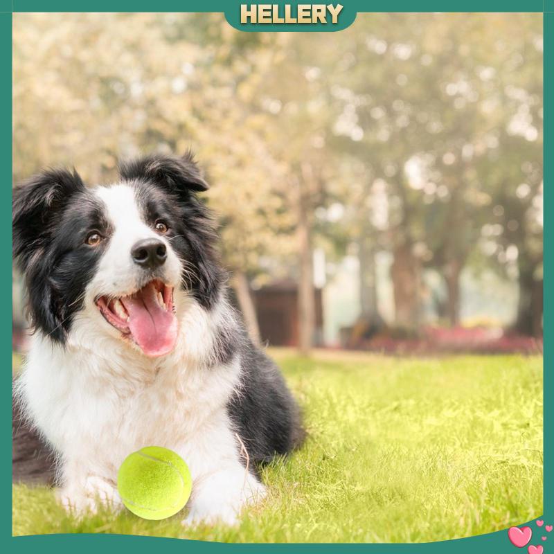 Quả Bóng Tennis Cao Su Co Giãn Tốt Dùng Huấn Luyện Thú Cưng