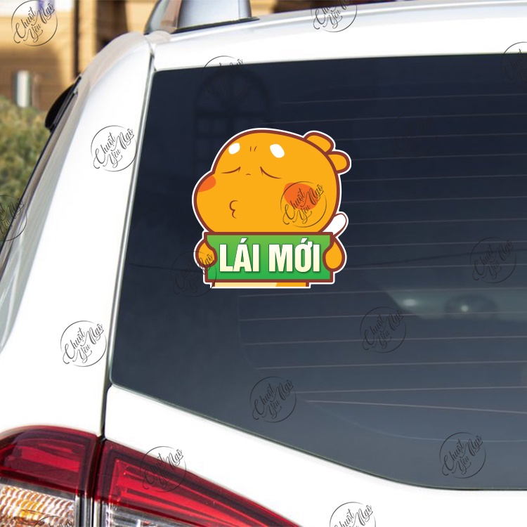 Combo 2 miếng dán Khủng Long Vàng Lái Mới lấy bằng thông cảm dễ thương trang trí xe hơi ô tô decal nhựa chống thấm nước