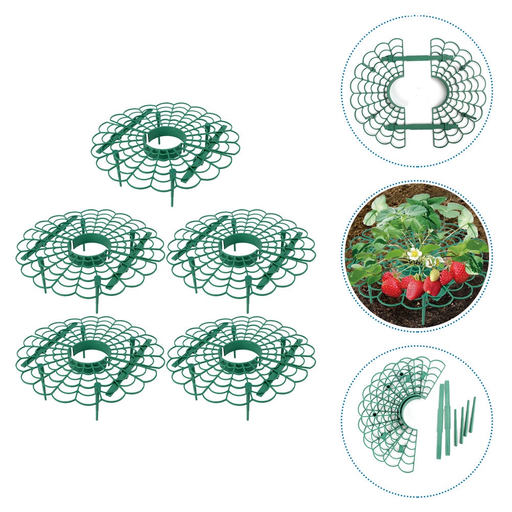 Bộ 5 Giá Đỡ Hỗ Trợ Trồng Dâu Tây Chuyên Dụng