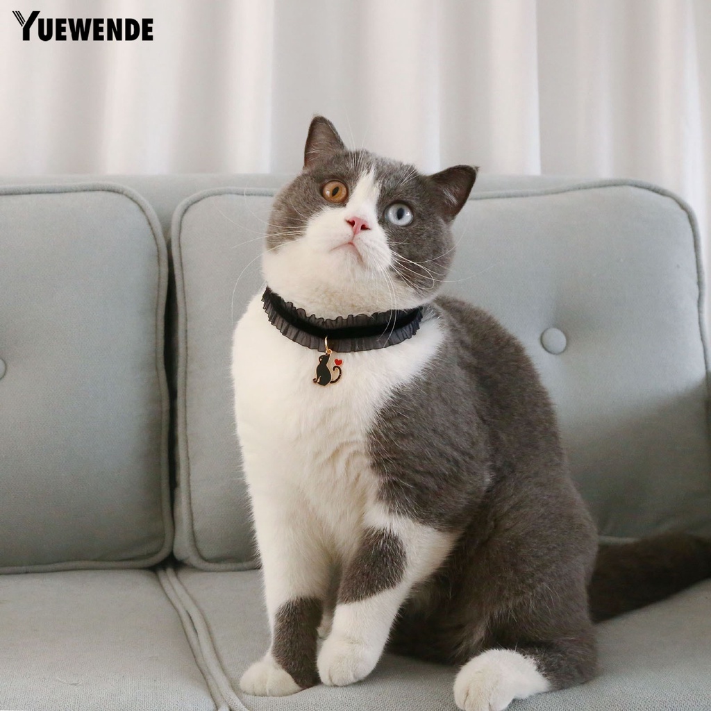 Vòng Cổ Co Giãn Trang Trí Hình Ảnh Dành Cho Thú Cưng YQ.E