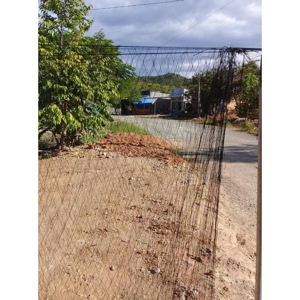 Lưới bẫy chim tàn hình dài 20m mắt 3p đánh ri,khuyên,sâu,hút mật,sẻ chào mào