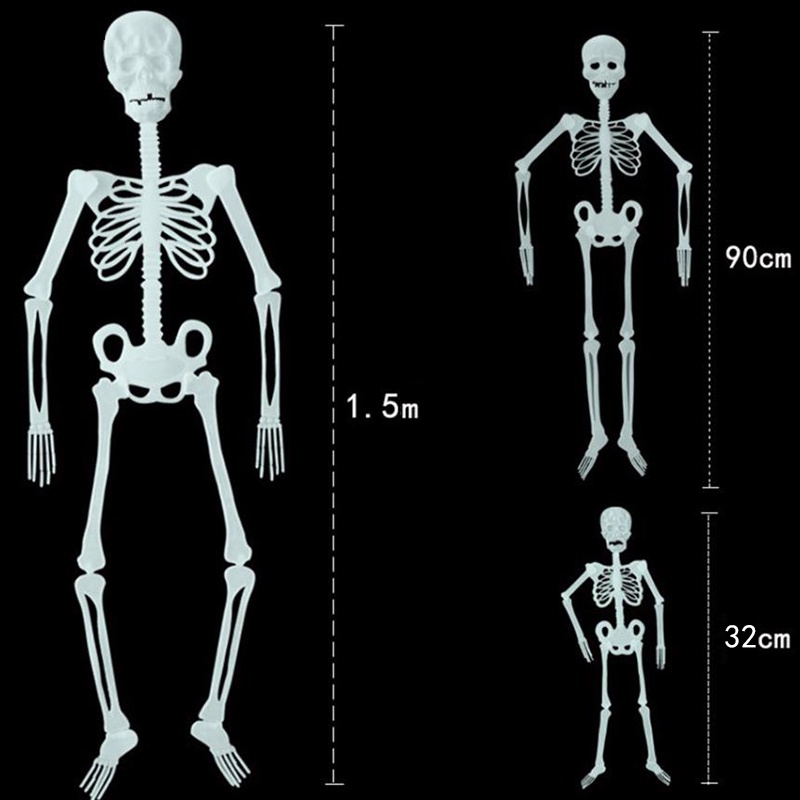 Bộ Xương Người Bằng Nhựa Kích Thước 32 / 90 / 150cm Dùng Trang Trí Tiệc Halloween