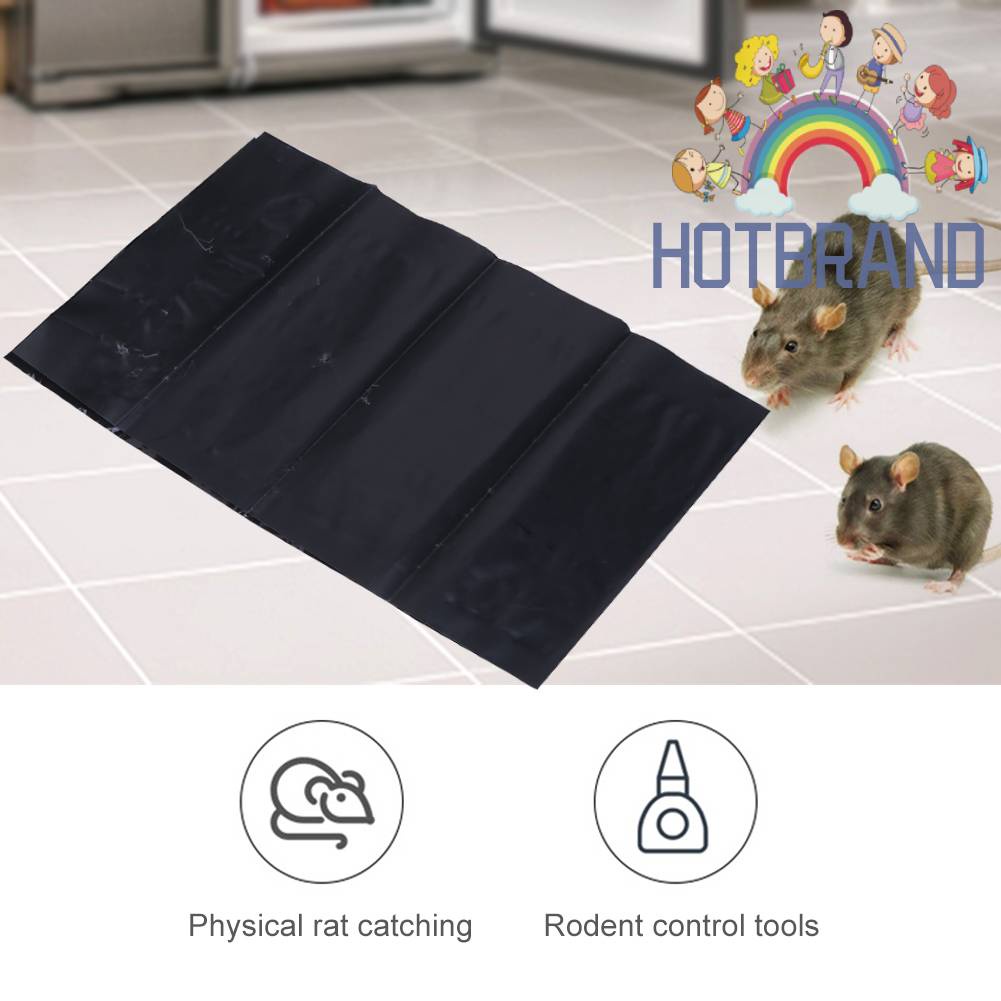 Keo Bẫy Chuột Không Độc Hại Tiện Dụng Cho Gia Đình