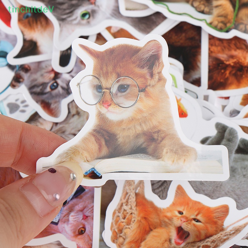 Bộ 50 Miếng Dán Hình Mèo Hoạt Hình DIY Trang Trí Sổ Tay / Hành Lý / Xe Hơi