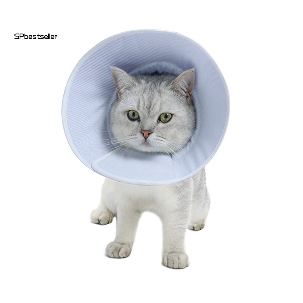 Vòng Cổ Màu Trơn Chống Cắn Bảo Vệ Cho Thú Cưng Màu Sắc