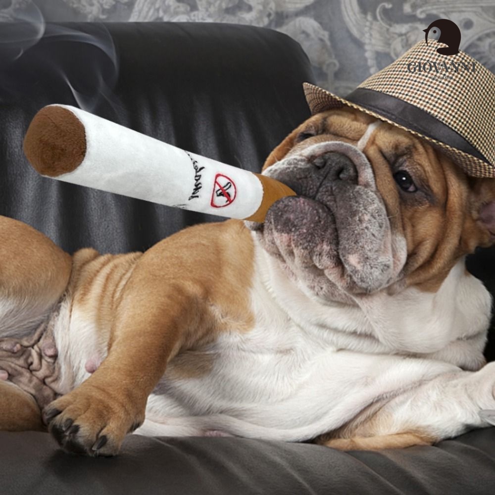 Giovanni Đồ Chơi Nhồi Bông Mềm Mại Chống Cắn Tương Tác Cho Thú Cưng