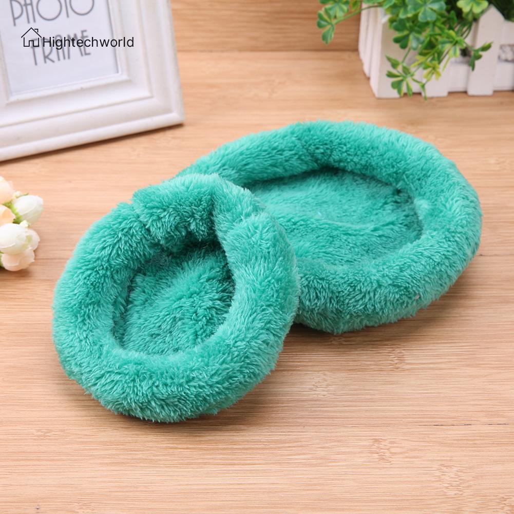 Chuột Hamster Bett Xinh Xắn Đáng Yêu