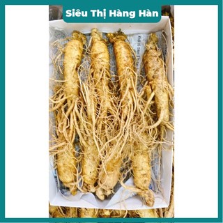 SÂM 8 CỦ\KG _ BÁN LẺ 1 CỦ Sâm hàn quốc