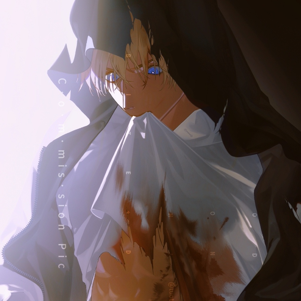 Detective Conan Poster Treo Tường In Hình Amuro Toru Akai Shuichi  Postcard Badge