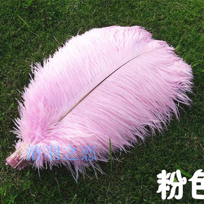 Lông Đà Điểu Dài 35-40CM Bằng Lông Vũ Dùng Làm Đồ Trang Sức / Trang Trí Tiệc Cưới / Giáng Sinh